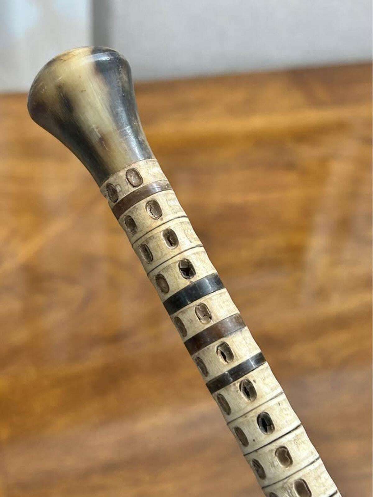 Antique 19th Century Maritime Shark Vertebrae Walking Cane with Horn Handle