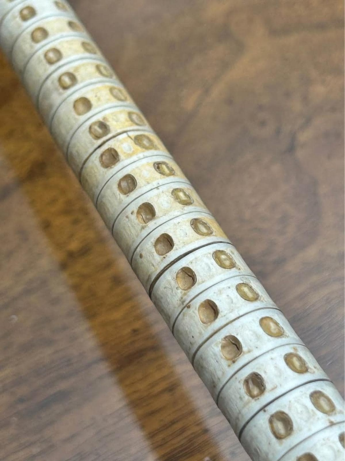 Antique 19th Century Maritime Shark Vertebrae Walking Cane with Horn Handle