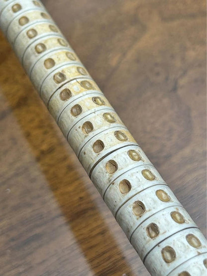 Antique 19th Century Maritime Shark Vertebrae Walking Cane with Horn Handle