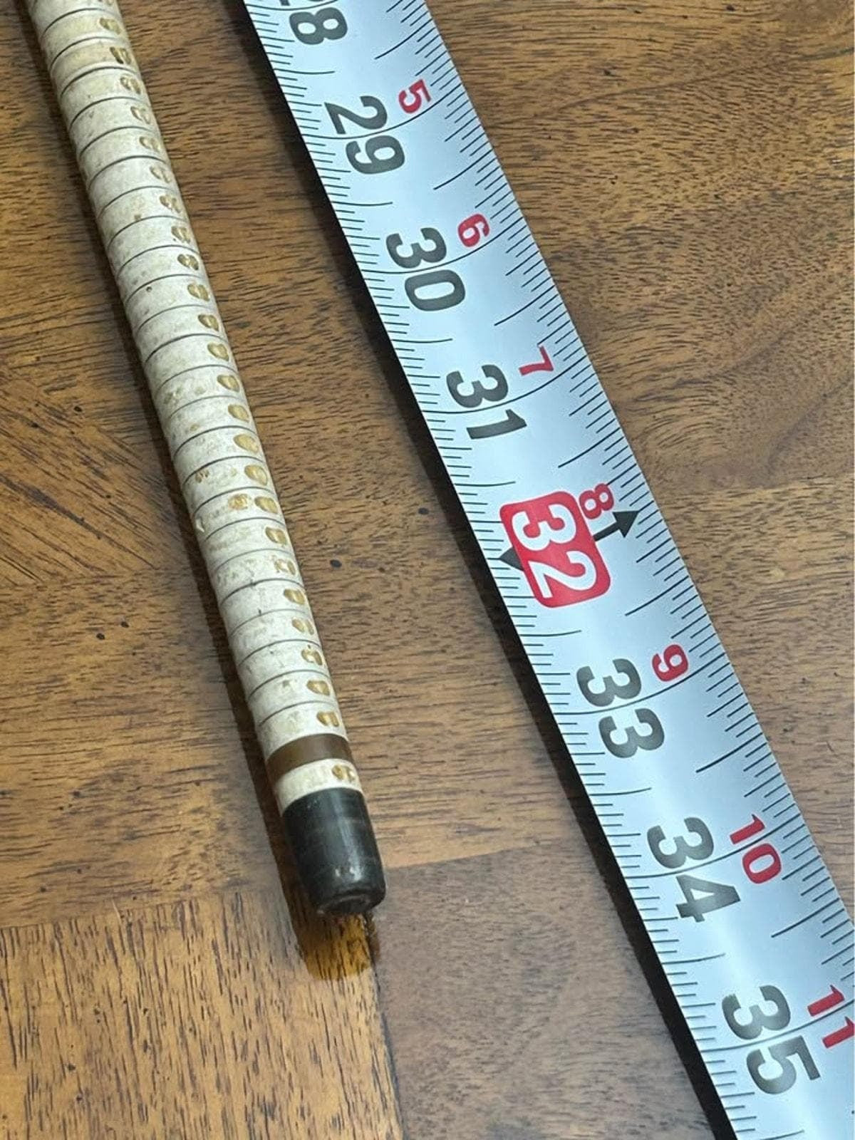 Antique 19th Century Maritime Shark Vertebrae Walking Cane with Horn Handle