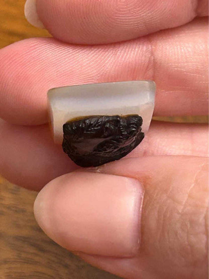 Antique Unmounted Sardonyx Hardstone Cameo Janus Double Head Profile