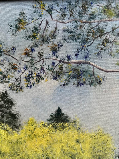 Joni Lewis Original Oil Painting - Birch Trees and Lake Landscape, 1975 - Framed 27x21.5