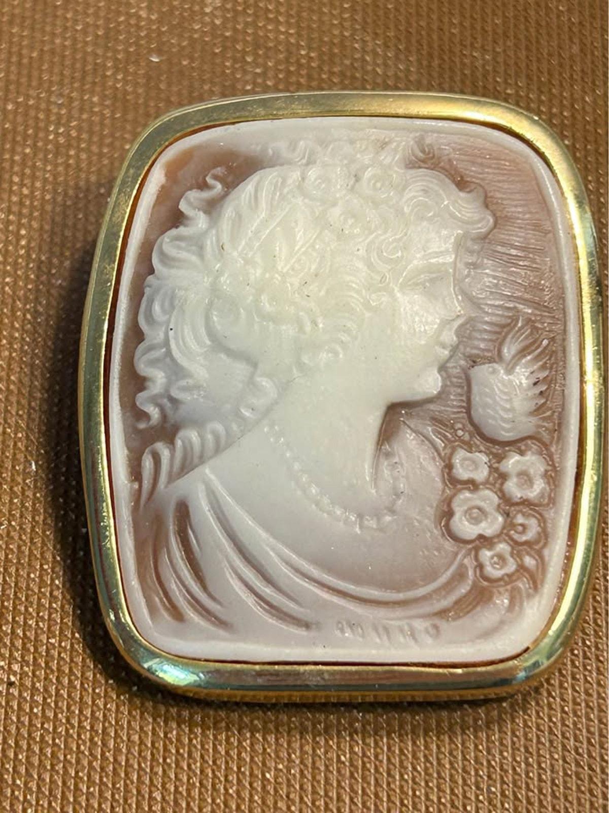 Vintage Victorian Revival Molded Resin Cameo Brooch Pendant - Lady, Bird & Flowers