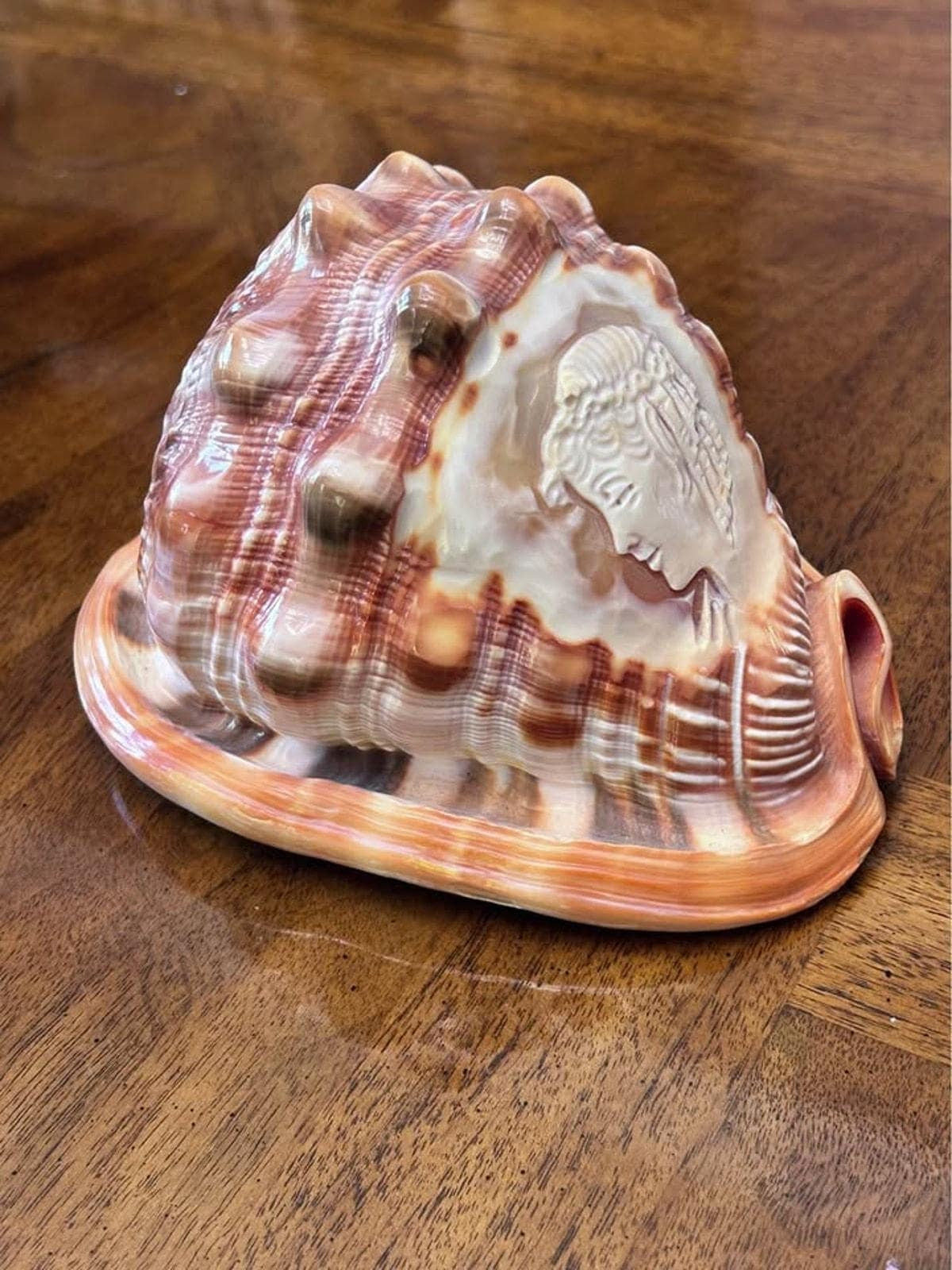 Vintage M+M Scognamiglio Carved Cameo Helmet Shell Classical Profile