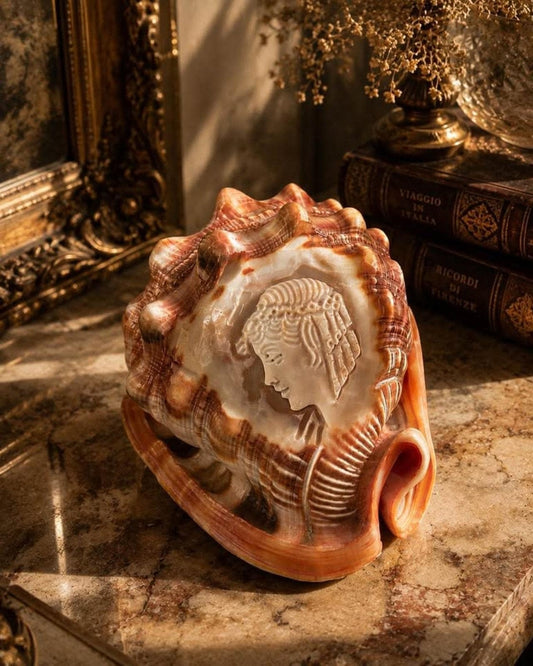 Vintage M+M Scognamiglio Carved Cameo Helmet Shell Classical Profile