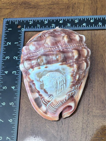 Vintage M+M Scognamiglio Carved Cameo Helmet Shell Classical Profile