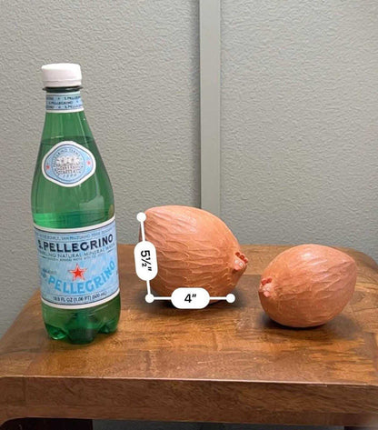 Signed Helen Hodson Terracotta Chicken Sculptures – Modern Folk Art, 2017